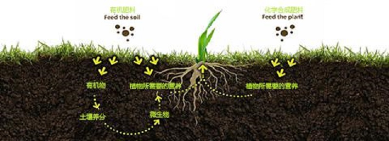 1643020093282.jpg 1.jpg