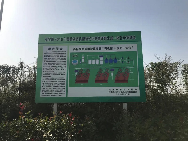 1643020143244.jpg 4.jpg