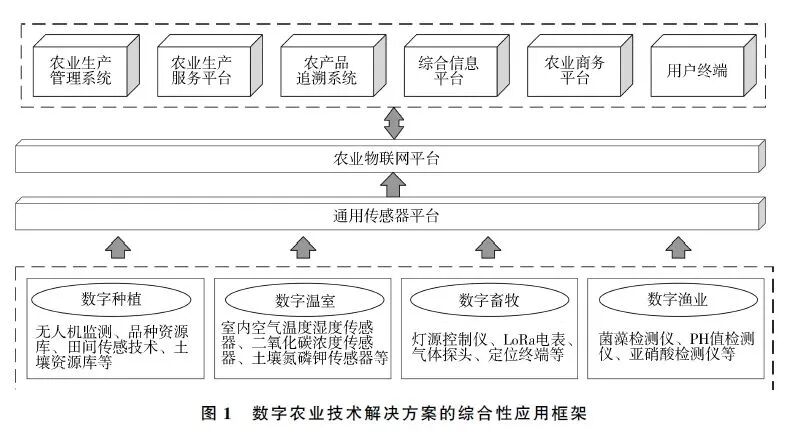 1762156182440.jpg 640 (1).jpg